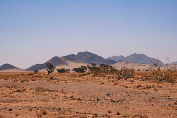 Namib Wüste