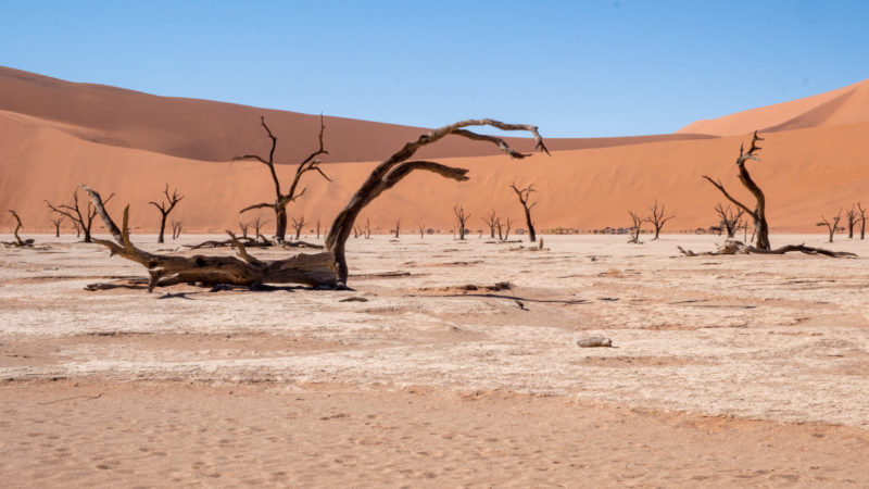 Namibia Reiseroute für 21 Tage